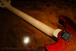 SwampAsh-Studio_HappyFoil_Neck.jpg