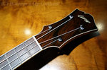 Collings_UK_Head.jpg
