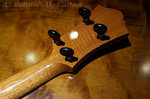 Collings_UK_Headback.jpg