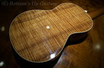 Collings_UK_back.jpg