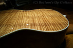 Collings_UK_back3.jpg