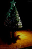 Tree.jpg