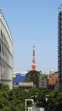 晴天の5月 東京タワー