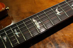 PRS Custom22 Semi Hollow Limited