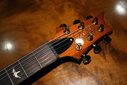 PRS Custom22 Semi Hollow Limited