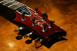 DSC03798.jpg