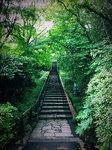 田園調布せせらぎ公園