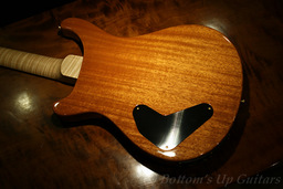 EXP_PRS_LTD_P22_CherryVanillaBurst_Back.jpg