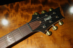 EXP_PRS_LTD_P22_SolanaEclipse_Head.jpg