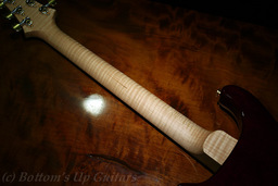 EXP_PRS_LTD_P22_SolanaEclipse_Neck.jpg
