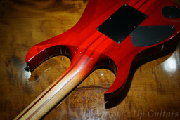 Ibanez_Jcustom_RG9570_Joint.jpg