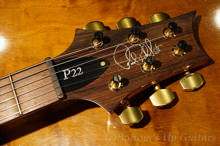 P22APG_BZF_FBJ_Head.jpg