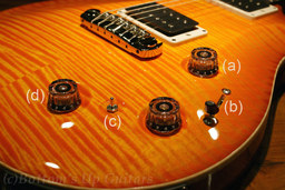P22_Control.jpg