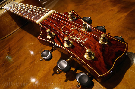 PRS_Acoustic_TonareGrand_Head.jpg
