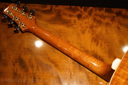 PRS_Acoustic_TonareGrand_Neck2.jpg