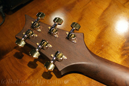 PRS_ME_SCT_FBJ_Headback.jpg