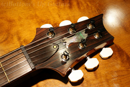 PS3600_Sig_Ltd_AB_head2.jpg
