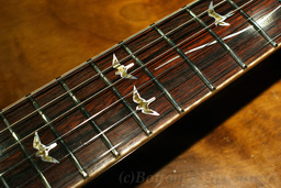 PS4102_SigSH_KOA_FB2.jpg