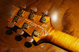 PS_HB2_AllMaple_VA_TreeofLife_Headback2.jpg