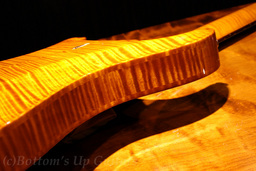 PS_HB2_AllMaple_VA_TreeofLife_backarch.jpg
