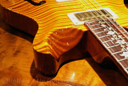 PS_HB2_AllMaple_VA_TreeofLife_horn.jpg