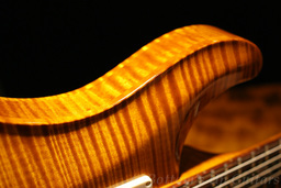 PS_HB2_AllMaple_VA_TreeofLife_horn2.jpg