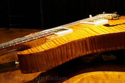 PS_HB2_AllMaple_VA_TreeofLife_hornside.jpg