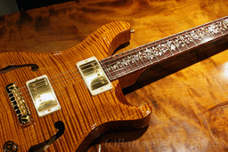 PS_HB2_AllMaple_VA_TreeofLife_top.jpg