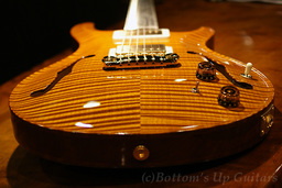 PS_HB2_AllMaple_VA_TreeofLife_top23.jpg