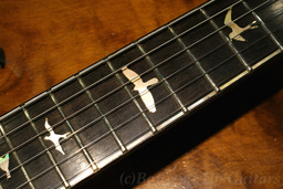 PRS Private Stock BRZ Neck McCarty24