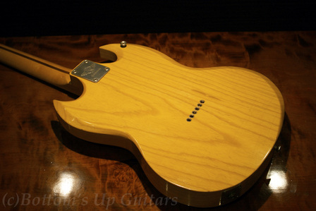 RS_Guitar_STee_BLD_1st_Back.jpg
