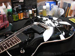Tribal-Tremonti-BUG2.jpg