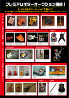 PGSauction01.jpg