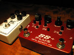 Xotic effectors